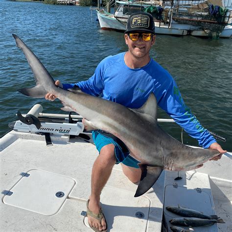 shark fishing florida|Where to Find Sharks in Florida .